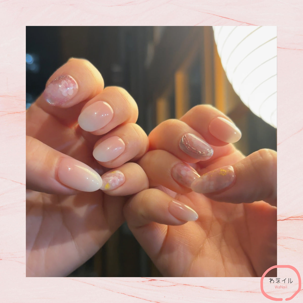 彩桜 Gold Oval