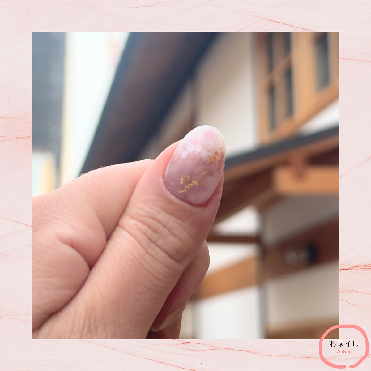 彩桜 Gold Oval